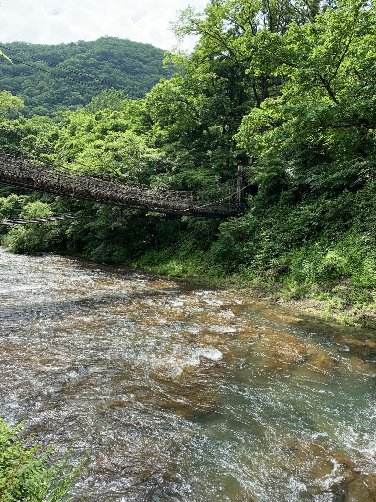 初夏の湯西川と本家伴久かずら橋