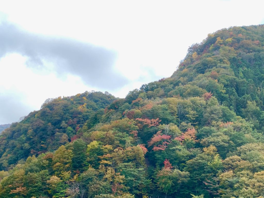 湯西川温泉の山の紅葉