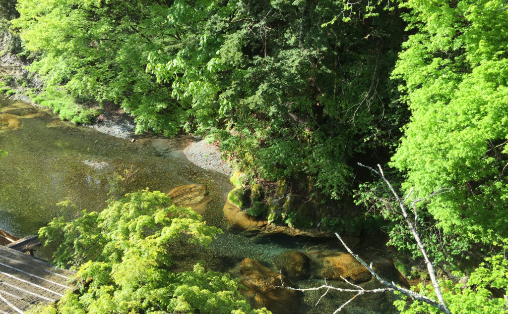 湯西川の清流