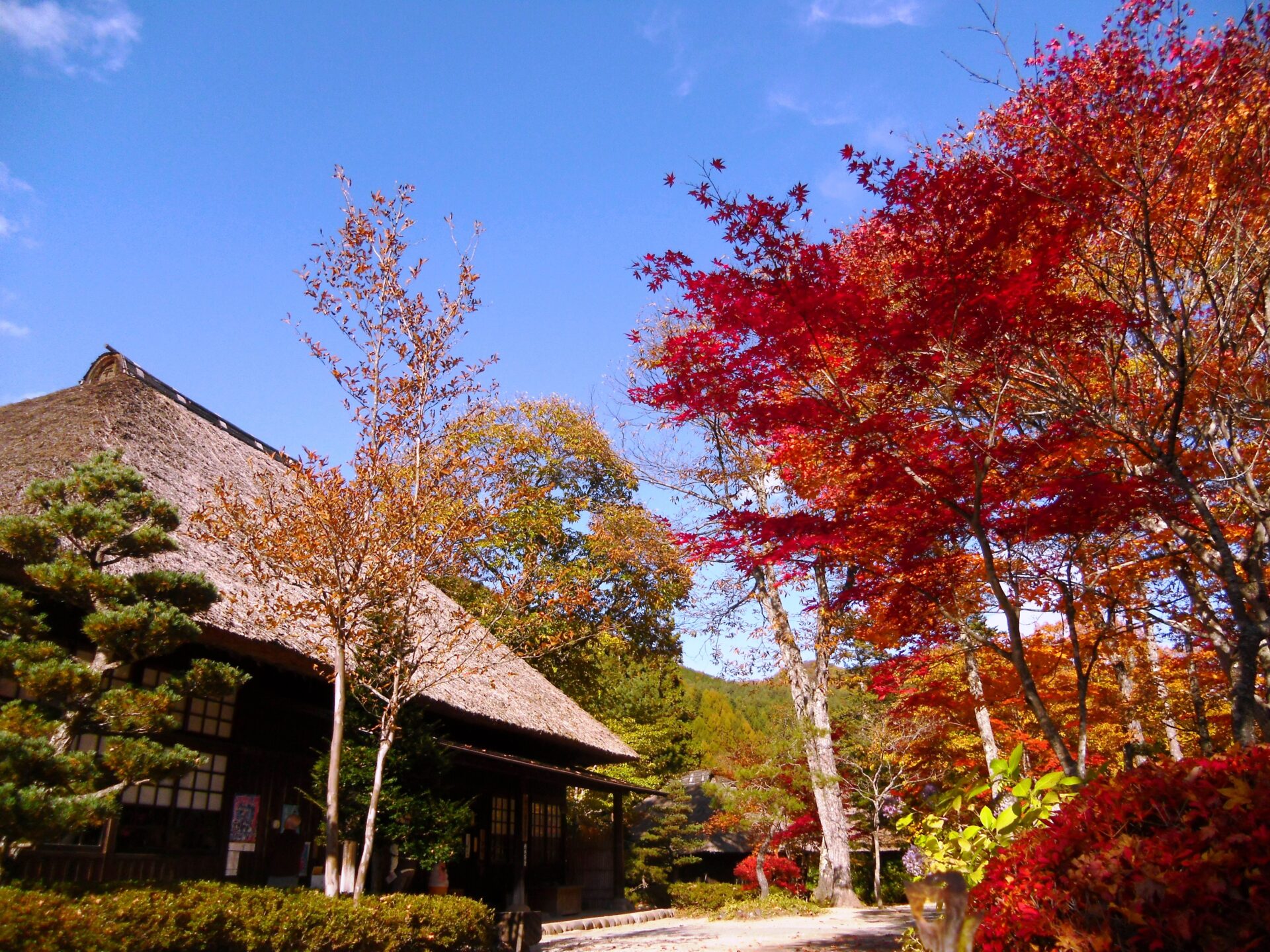 湯西川温泉「平家の里」